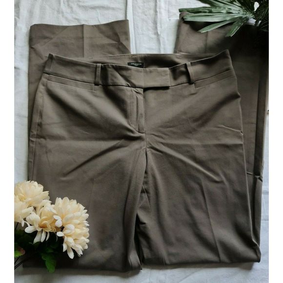 Ann Taylor Modern Fit Chino Pants Career Dress Slacks Brown Flat Front Size 10 - Picture 10 of 10